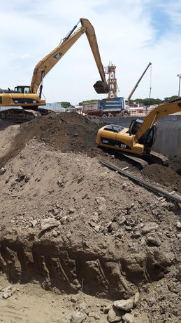 WhatsApp Image 2022-03-15 at 10.22.13 AM.jpeg