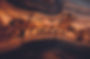 STRUCTIA logo bois
