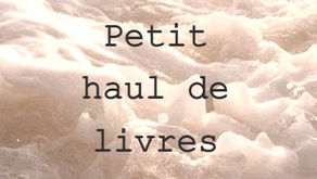 HAUL !!!!!! ( de livres bien évidemment )