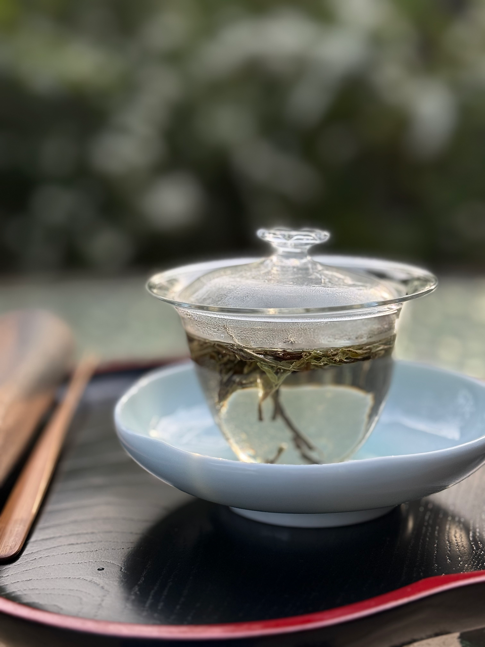 お茶を学ぶのはなぜでしょう