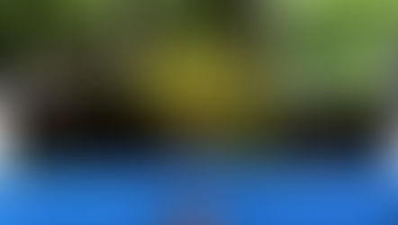 愛でるお茶　　　