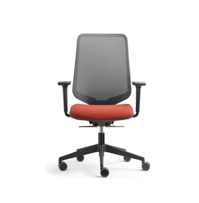 FAUTEUIL DOT PRO FORMA.gif