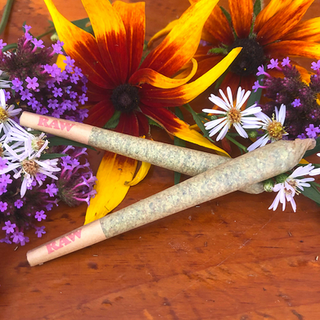 Cannabis and Gut Health: The Microbiome Connection