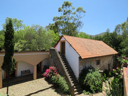 images-web.038