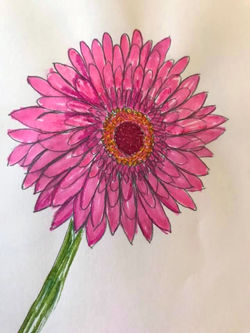 Mary Albrecht (Lansdale, PA)