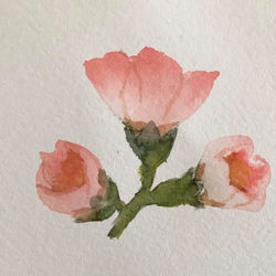 Adele Sakoda (Edgewood, WA)