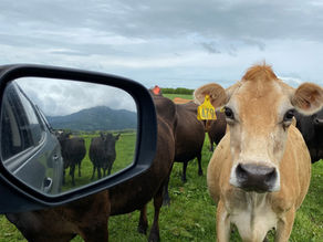 Your Opportunity to Improve Mating Performance
