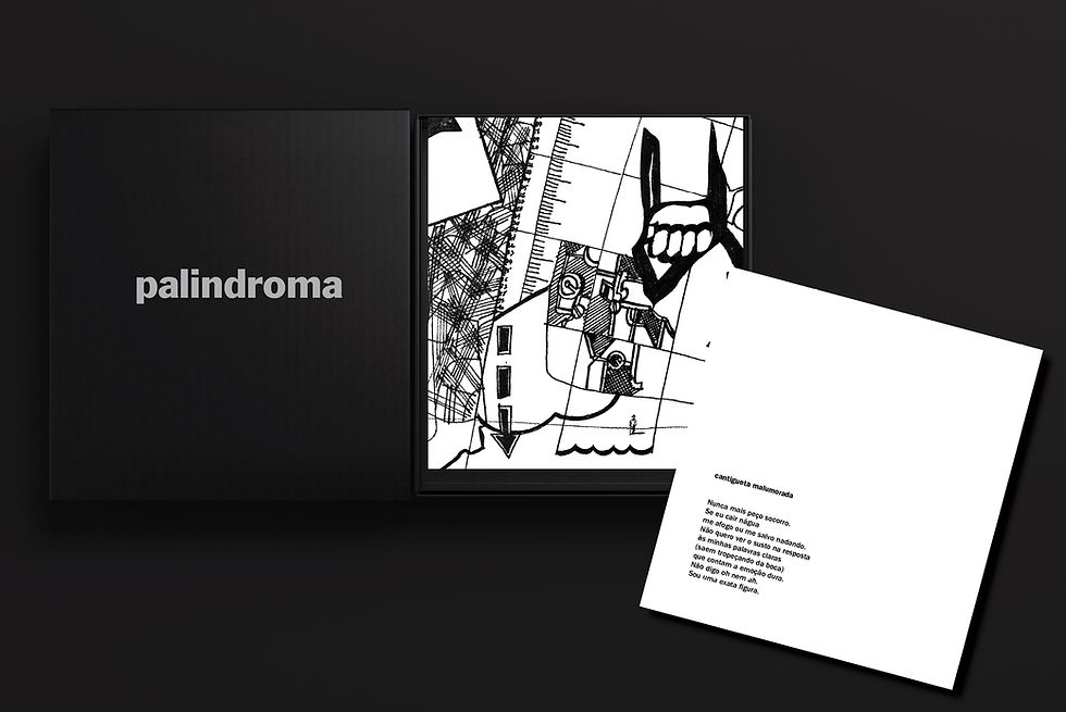 Miniatura: Palindroma / Heloisa Jahn e Carlos de Moraes