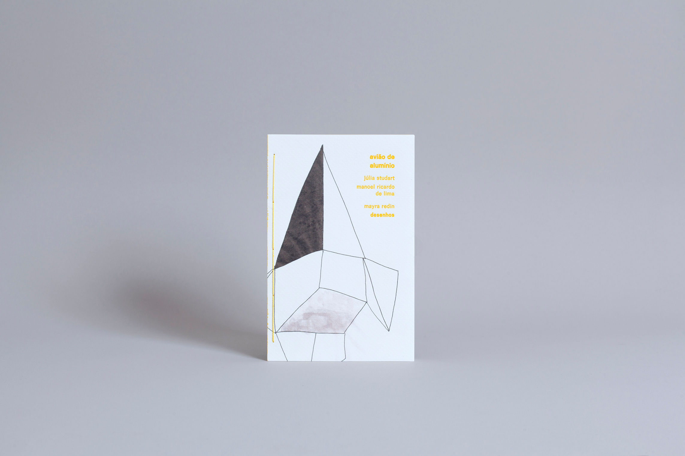 Avião de alumínio / Manoel Ricardo de Lima e Júlia Studart