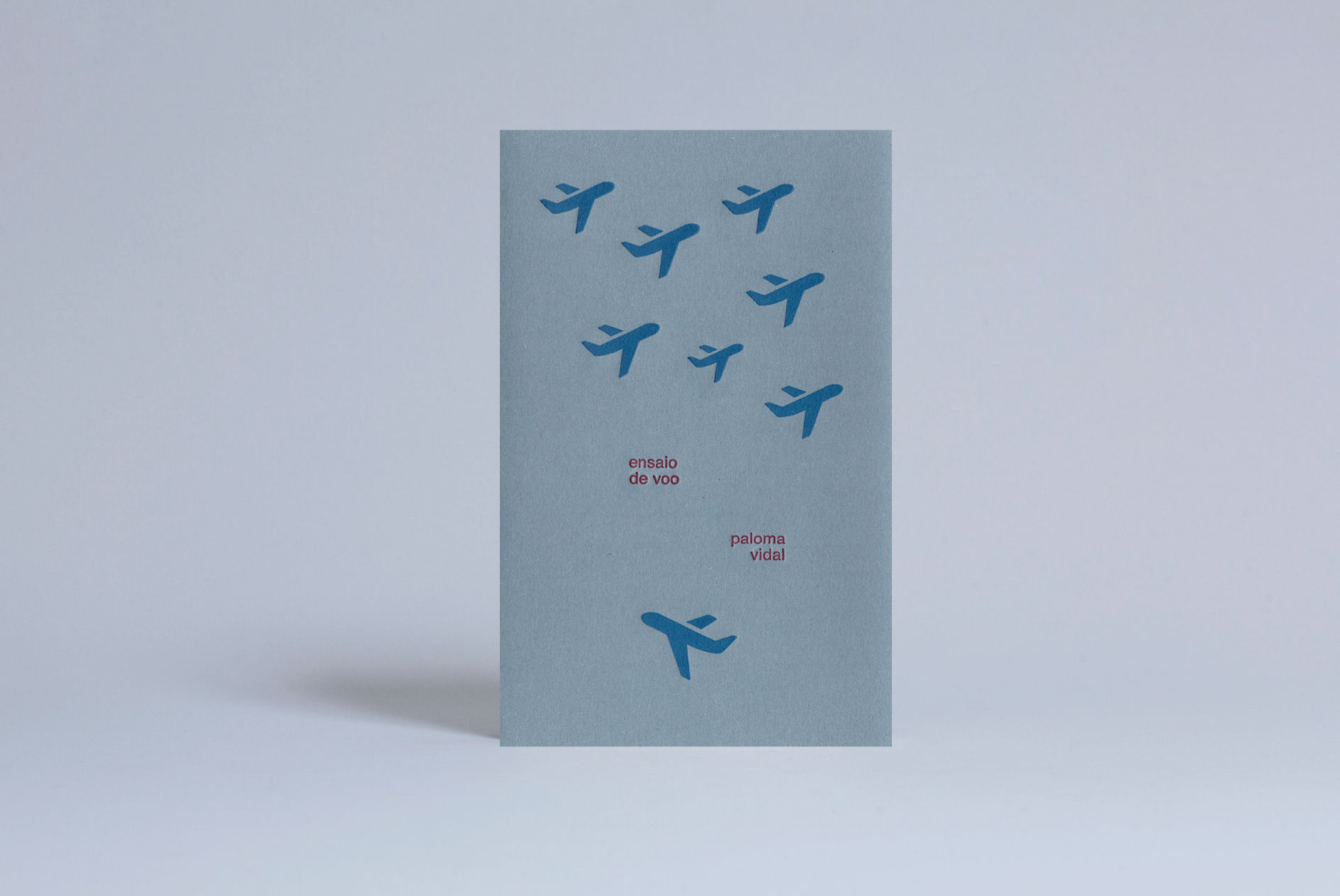 ensaio de voo / Paloma Vidal