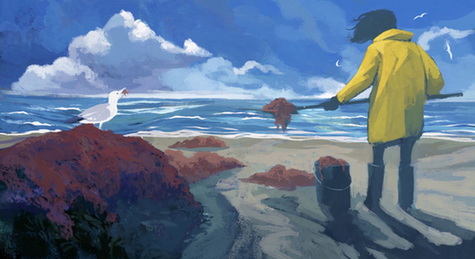 Washed Ashore