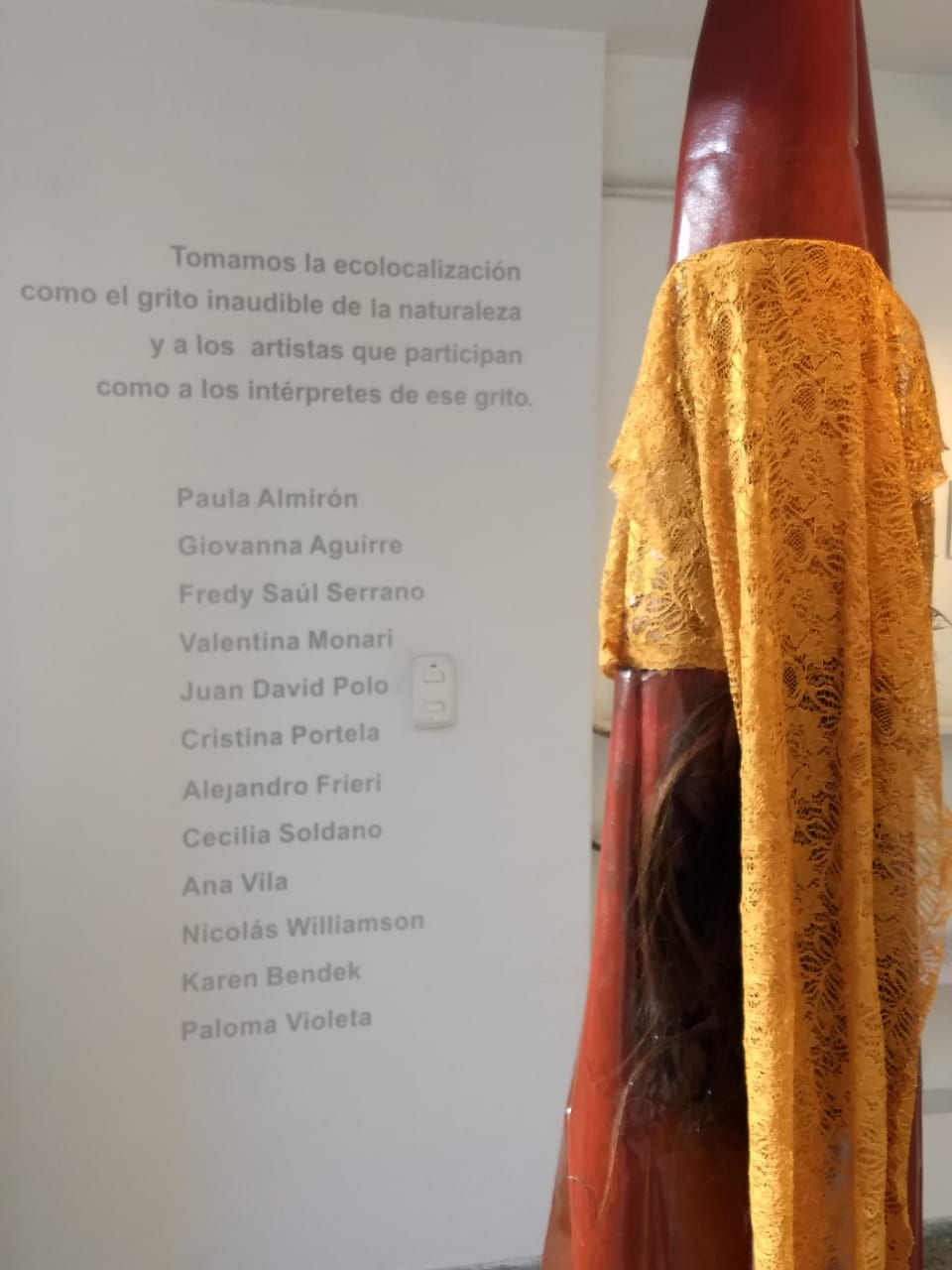 ECOLOCALIZACIÓN