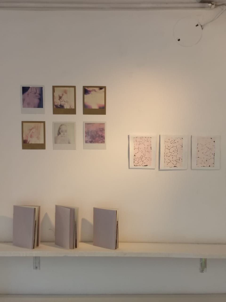 Paloma Violeta - Ana Vila