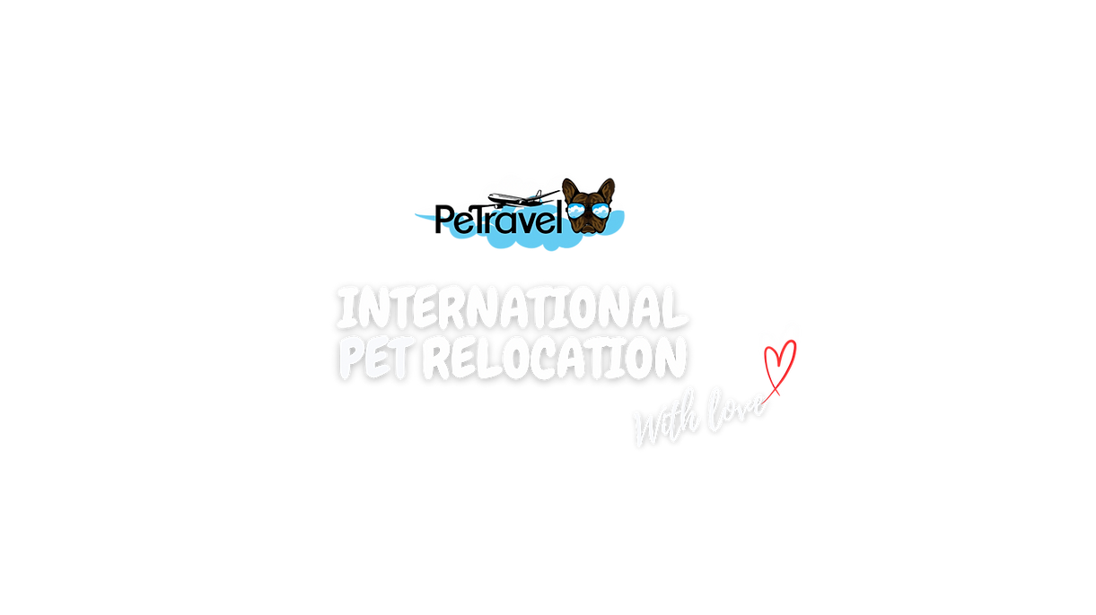 Pet Relocation, Cyprus pet, International Pet Shipping, Pet Transport Cyprus 