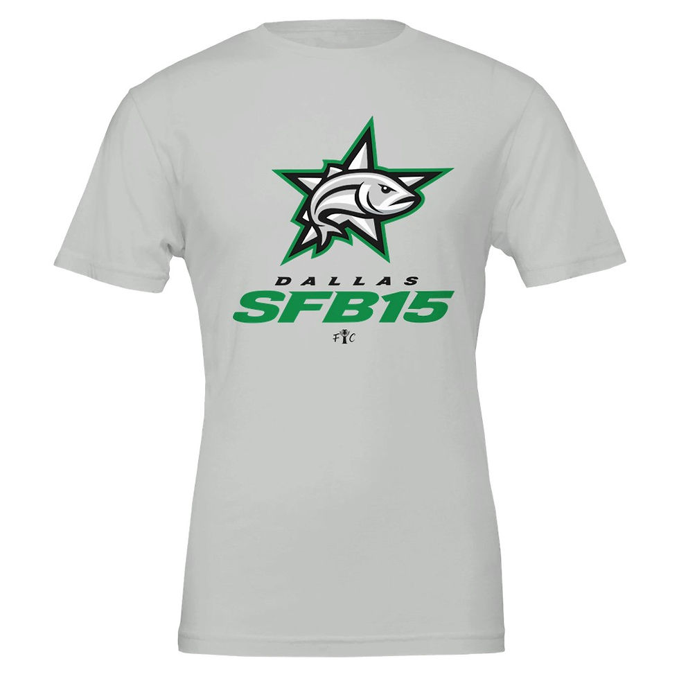 Thumbnail: South Stars | Premium Unisex Crewneck T-shirt