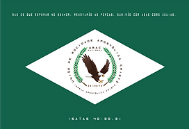 Bandeira UMAC