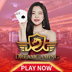 dg-gaming.jpg