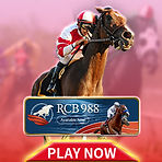 rcb988.jpg