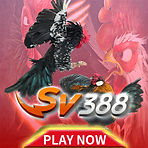 sv388.jpg