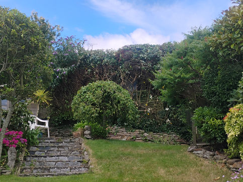 Large hedge trimming in Looe