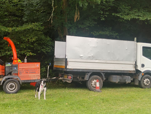 Willow the dog with truck and chipper