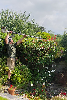 Hedge Cutting in Liskeard