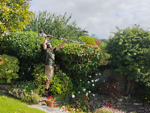 Looe Hedge Cutting