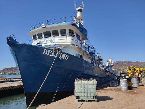 Tableros de Distribución Eléctrica para Sardinero