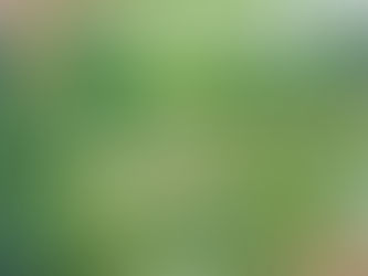 Rezept für Grünmehl Pasta