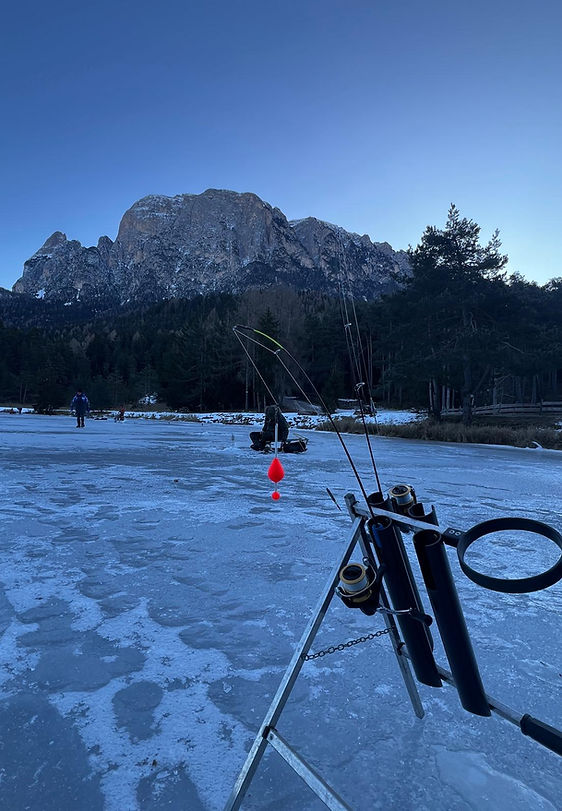 WhatsApp Image 2026-01-08 at 15.33.46.jpeg