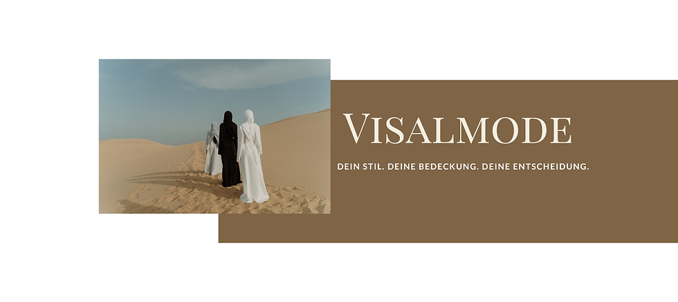 Visalmode Banner (1800 × 800 px)-4.png