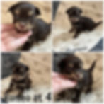 collage_export_975145CF-25C7-4539-8381-C50B3DC58FB3