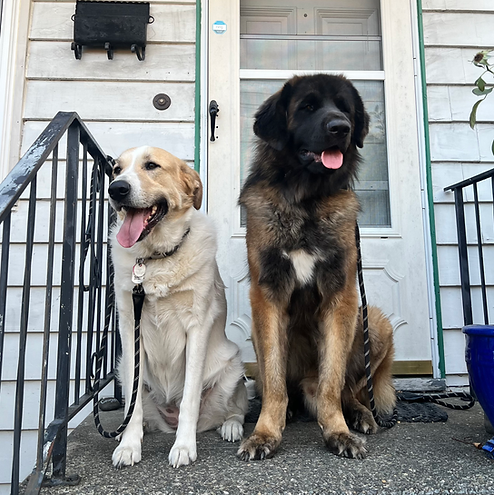 Najat and Wolfy are R&R Design's HR Department