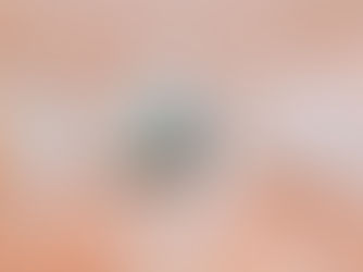 Osan Airbase Housing 4bed 2bath Duplex