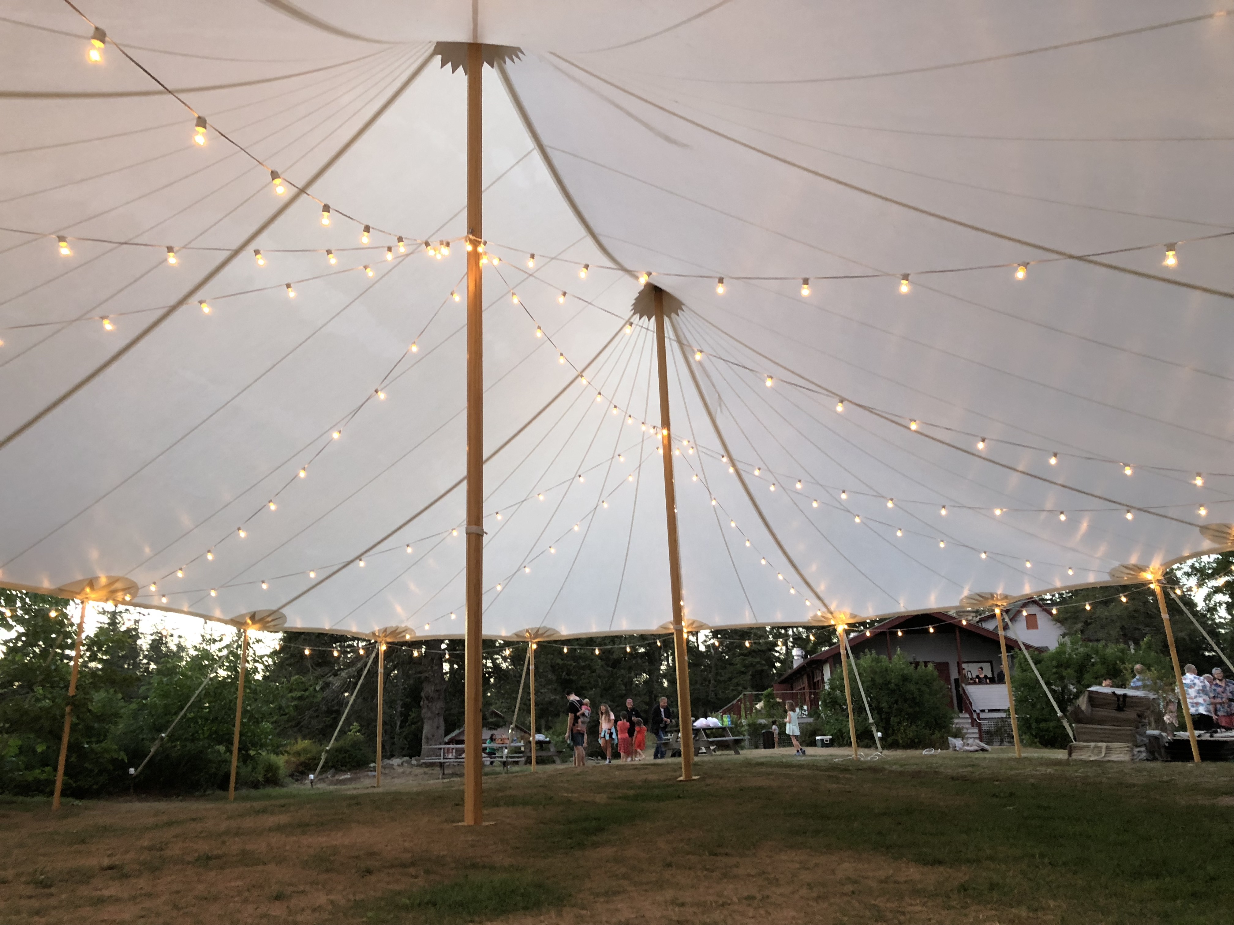 Overhead & Perimeter Cafe Strings