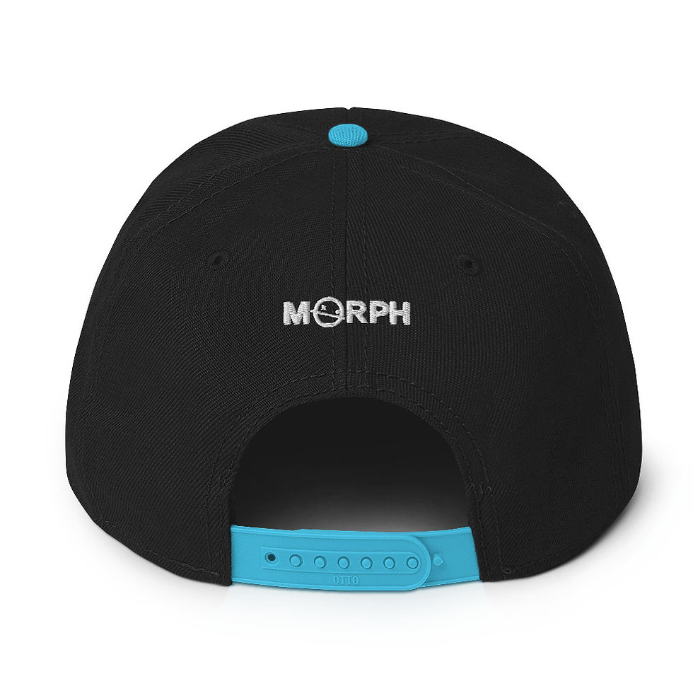 Miniaturbild: Morph Official Hat 