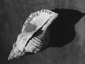 Screen Shot 2025-12-25 at 2.47.01 PM.png