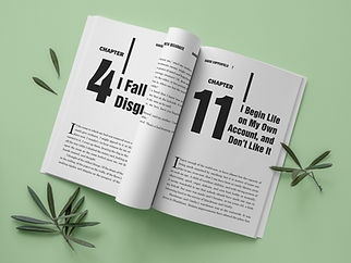 Book 2 mock up 2 copy.jpg