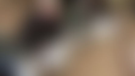 Uzdravené labutě se vracejí do přírody