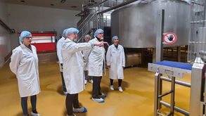 V Miltře chystají projekt čistírny odpadních vod, z Chornic jde na český trh tisíc tun rajčat