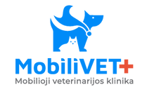 MV_cloud blue_logo-04.png