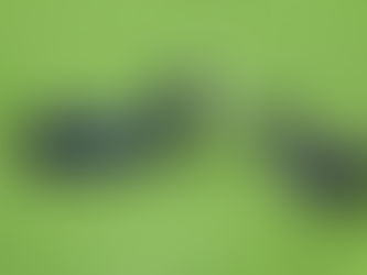 टिकरी, जल कुक्कुट (Common Coot)। सांप की तरह फुफकारने वाली पक्षी ।