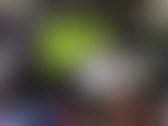 25 capturados del grupo delincuencial común organizado ‘los estafadores del sur’
