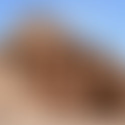 The Wall & The Tunnel by Eric Hepburn