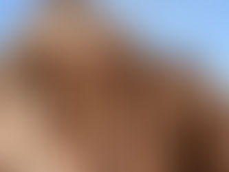 The Wall & The Tunnel by Eric Hepburn