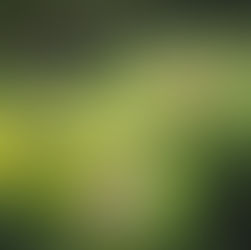 Flourishing Together & Flower Communion by Eric Hepburn