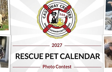 cALENDARcONTESST.jpg