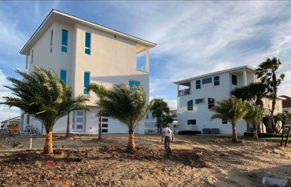 Beachfront property land clearing and palm tree installation