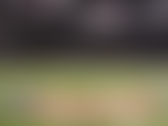 The Return of Sports