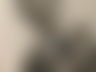 Cats, Teaching and CAS - An Interview with Ms. B!